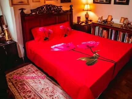 Rose flower in red bed sheet price in Bangladesh